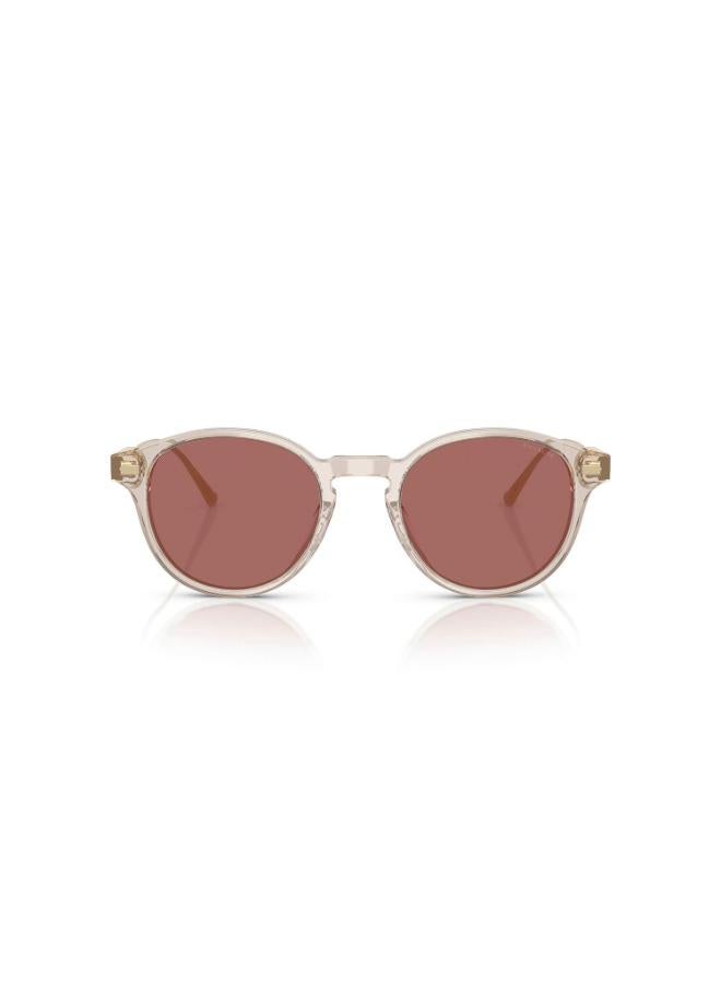 كوتش نظارة شمسية فانتوس كاملة الحواف 8428U 58790H - Image 2