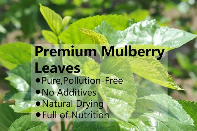 ULTHMOK Premium Natural Mulberry Leaf Tea - 255g - Image 2