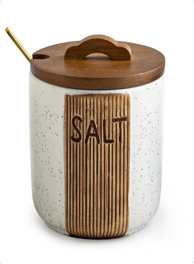 YHOJOY Salt Container for Countertop, Ceramic Salt Cellar with Lid and Spoons, 10 OZ Salt Bowl Holder, White - Image 1