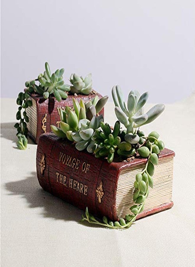 EMiEN Resin Cute Small Succulent Pots with Drainage,Succulent Planters,Air Plant Flower Pots Cactus Faux Plants Containers,Animal Planter (Big Book) - Image 4