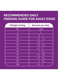 Iams IAMS Advanced Health Immune Health Adult Dry Dog Food Chicken & Exclusive Superfoods Medley Recipe, 6 lb. Bag  - Image 5