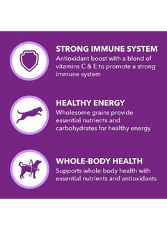 Iams IAMS Advanced Health Immune Health Adult Dry Dog Food Chicken & Exclusive Superfoods Medley Recipe, 6 lb. Bag  - Image 3