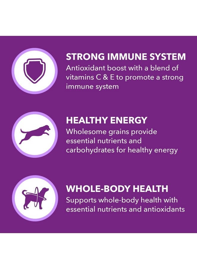 IAMS Advanced Health Immune Health Adult Dry Dog Food Chicken & Exclusive Superfoods Medley Recipe, 6 lb. Bag - Image 3