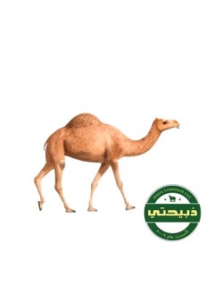 حاشي مشترك (1/7) توصلك أول يوم العيد
