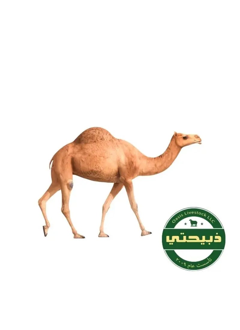 null - حاشي مشترك (1/7) توصلك أول يوم العيد - Image 1