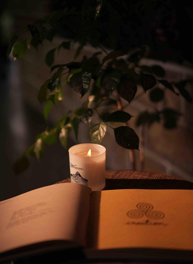 Wildling Luxury Candle Gift Set - गीली मिट्टी | Gili Mitti | Dancing in The Rain | +40hr Burn | Rain & Tuberose | Unique Cork Gift Box | Diwali Gift Set - Image 5