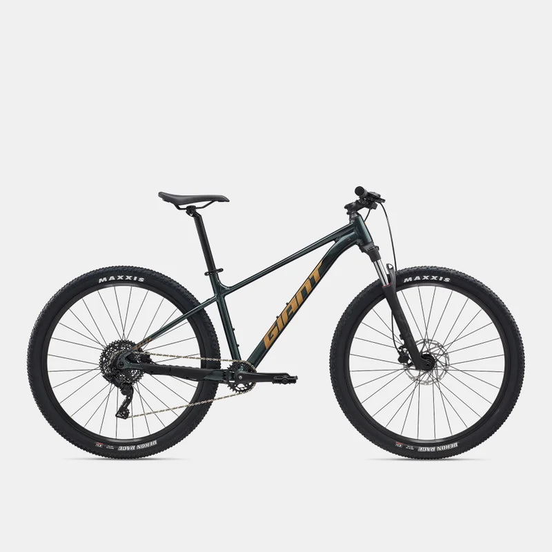 جاينت Talon 2 Mountain Bike