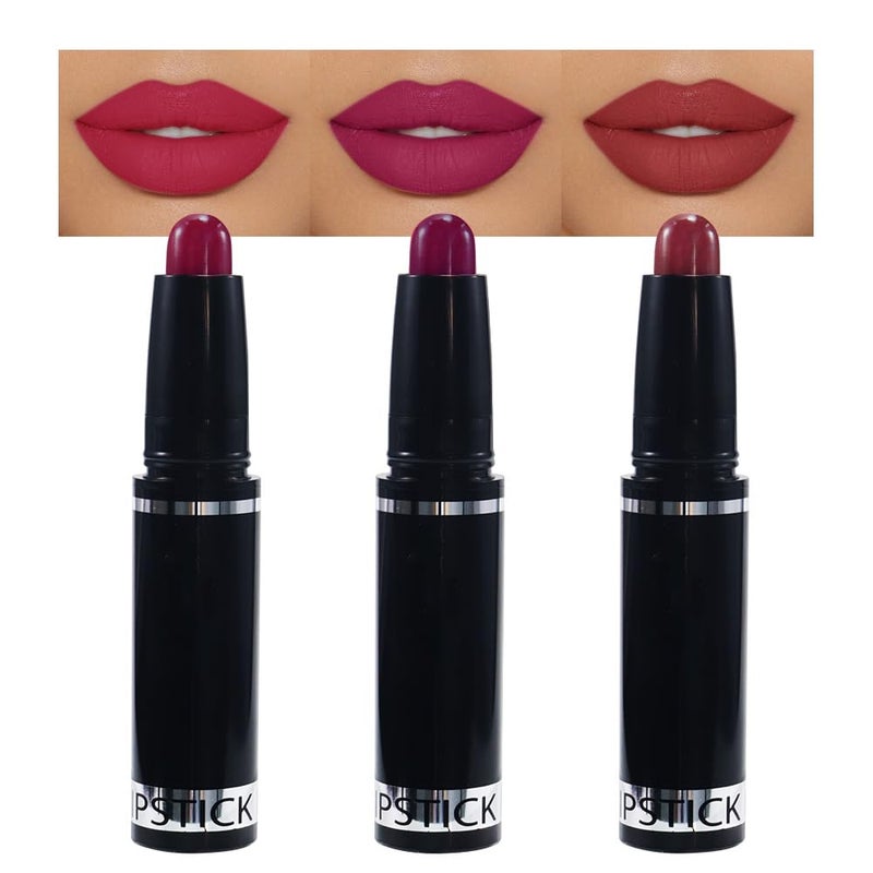 CAKAILA 3 Pcs Matte Lipstick Crayon Pencil Set,Brown Purple Dark Red Light to Dark Velvet Lip Stick for Women's 24 Hour Long Lasting Waterproof Lip Liner,labiales mate 24 horas originales 