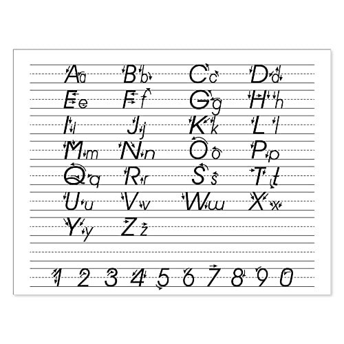 iScholar Multi-Method Primary Tablet, .625 Inch Ruling, 40 Sheets, 11 x 8.5 Inches (11802) - Image 3