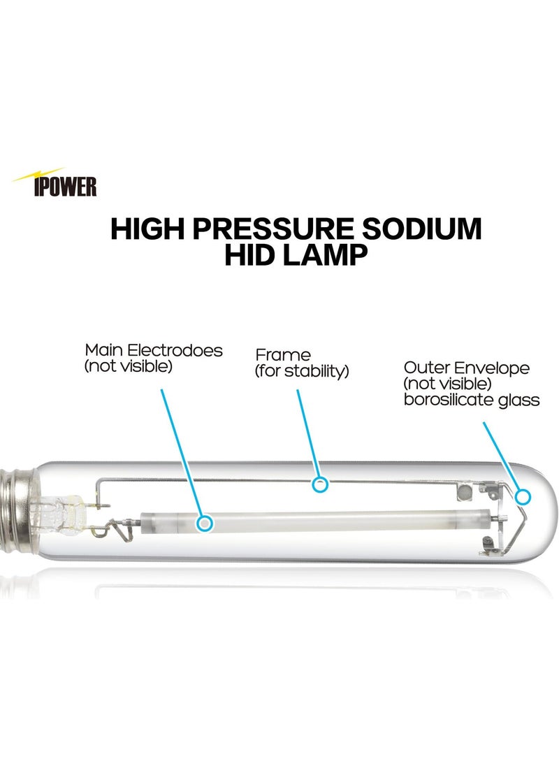 iPower iPower GLBULBH600X6 6Pack 600W Pressure Sodium HPS Grow Light Bulb for Plants High PAR Enhanced Red and Orange Spectrums CCT 2100K Glass  - Image 5