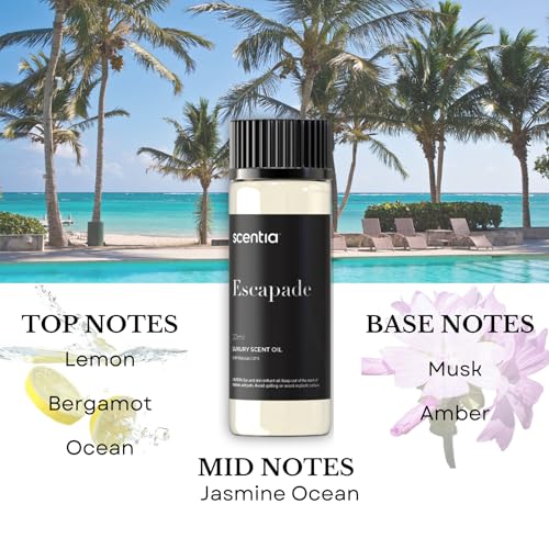Scentia Hotel Inspired Collection Diffuser Oils – 3×20ml Aromatherapy Set | Luxury Scents Inspired by 5-Star Hotels | Gift-Ready Essential Oil Blend - Thanksgiving & Holiday Gift - Image 5