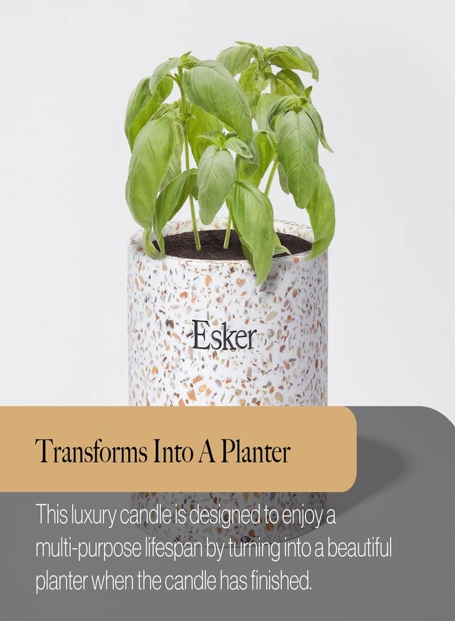 Esker Terrazzo Plantable Candle – Hand-Poured Soy Wax with Essential Oils, Eco-Friendly Reusable Planter, Includes Wildflower Seed Paper for Sustainable Gifting - Image 5