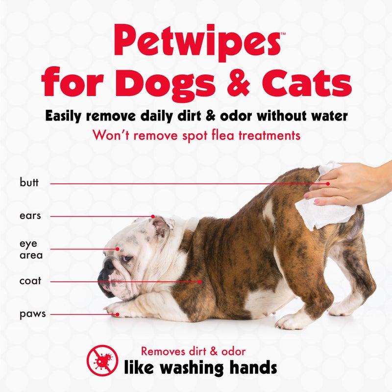 Petkin Pet Wipes for Dogs and Cats, 100 Large Wipes - Removes Dirt & Odor Like Washing Hands - Cleans Ears, Face, Butt, Eye Area - Convenient, Ideal for Home or Travel - 1 Pack of 100 Wipes - Image 3