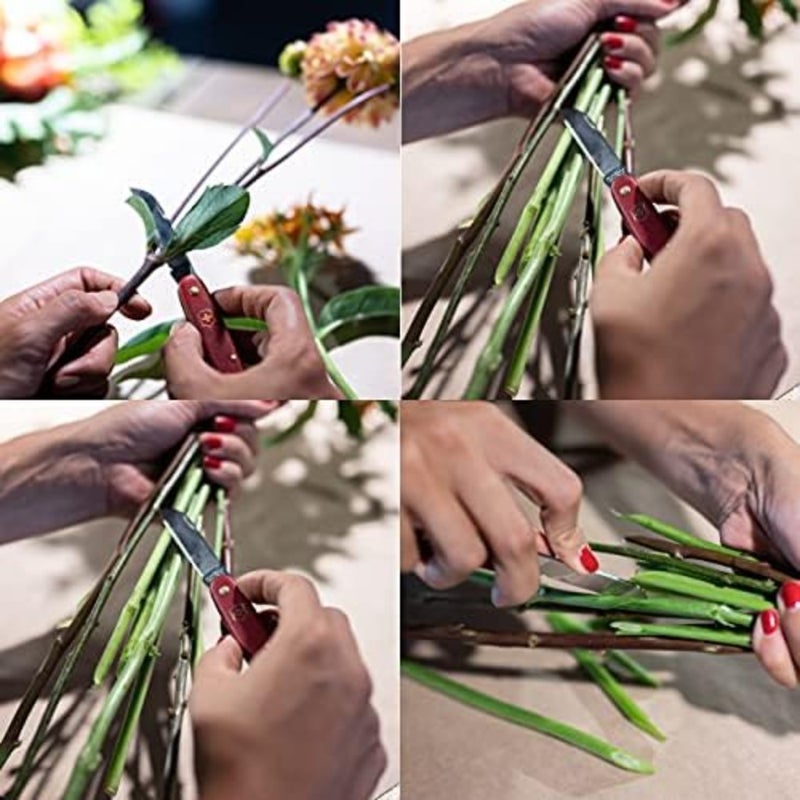 سكين Victorinox Florist مستقيم [منتج محلي أصلي] - Image 5