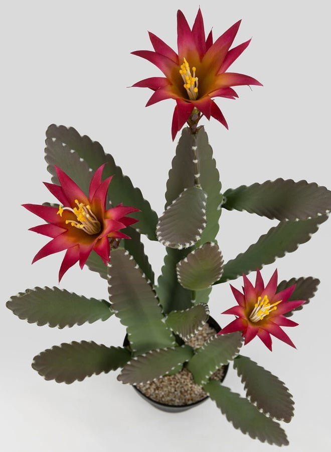 SUNPRAIRIE 33 Inch Large Artificial Cactus with Magenta Flowers in Pot with Natural Gravel. Satin Finish Leaves with Real Look and Feel. Outdoor and Indoor Faux Plants. - Image 3