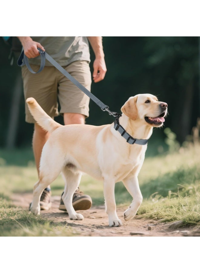 Q TRIPLE A Reflective Dog Collar with Soft Neoprene Padding, Metal D-Ring and Adjustable Length, Premium Nylon Material (Color: Gray) - Image 5