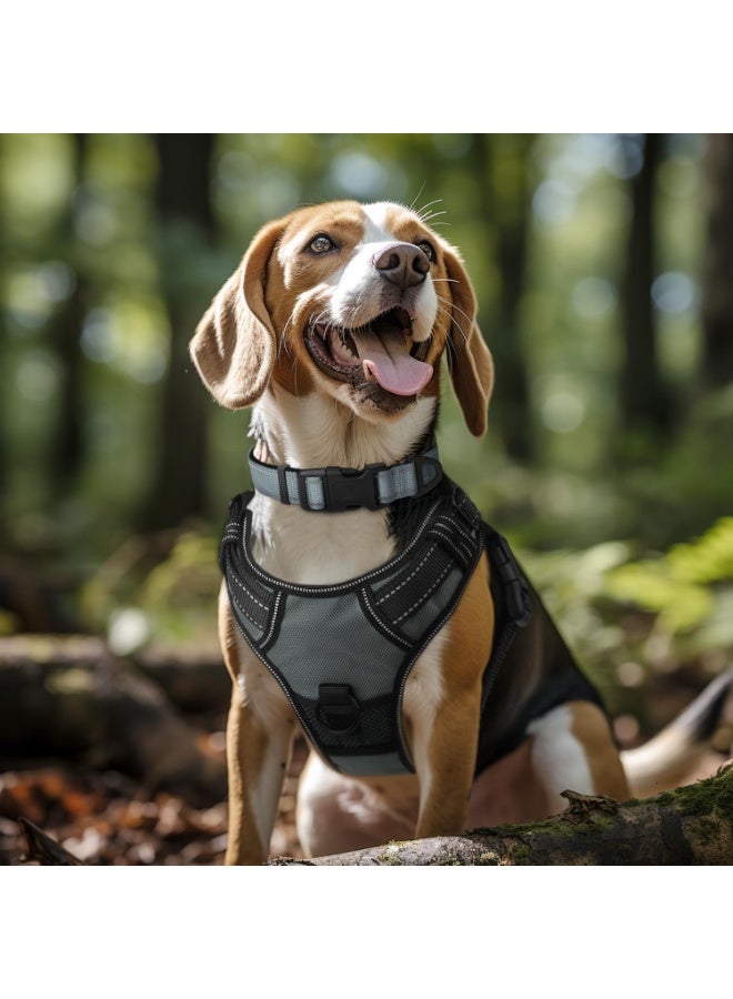 Q TRIPLE A Reflective Dog Collar with Soft Neoprene Padding, Metal D-Ring and Adjustable Length, Premium Nylon Material (Color: Gray) - Image 4
