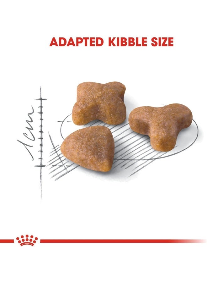 ROYAL CANIN طعام تغذية الأم والقطط الصغيرة من رويال كانين 10 كجم - Image 3