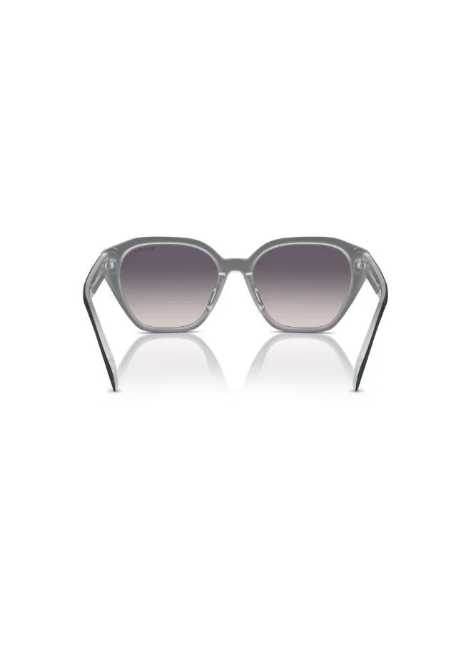 لورين باي رالف لورين 0Ra5315U Pentagon Sunglasses