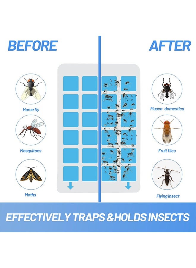 Generic 10Pcs Flying Insect Trap  - Image 3