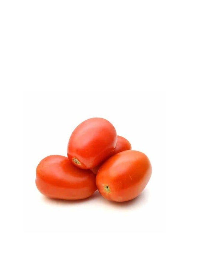 أجريماكس بذور طماطم روما عالية الجودة من Agrimaxgroup® - Image 2