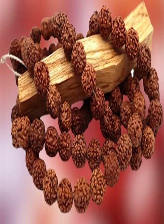 GRI9 Original Rudraksha Mala With Certificate For Wearing And Japa Mala (5 Mukhi Mala, 108 Beads Mala Rosary Garland) - Image 2