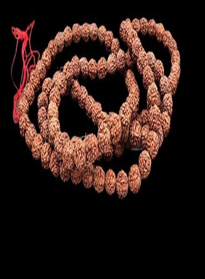 GRI9 Original Rudraksha Mala With Certificate For Wearing And Japa Mala (5 Mukhi Mala, 108 Beads Mala Rosary Garland) - Image 3