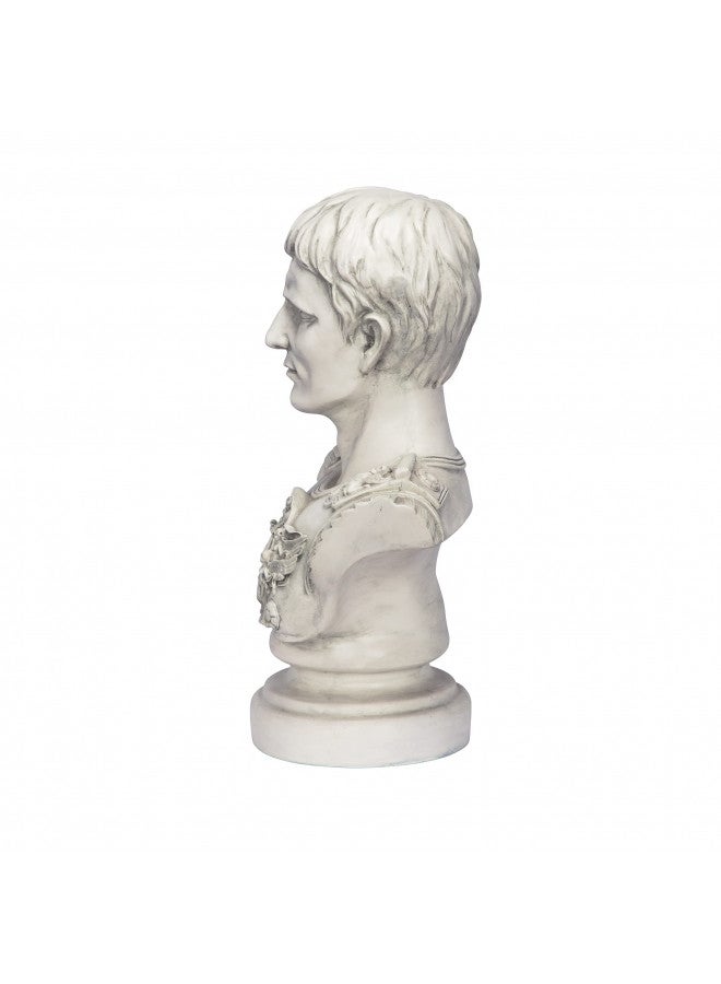 Design Toscano Augustus Caesar Primaporta Bust Statue, 10.5" Wx6.5 Dx18 H, Antique Stone - Image 5