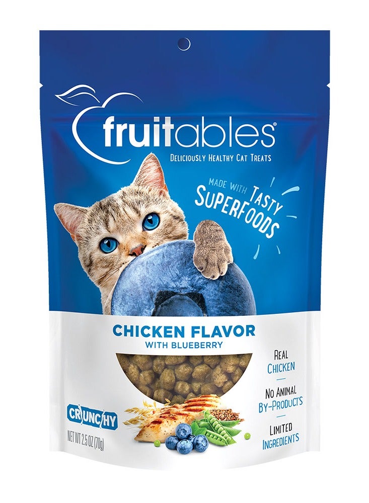 Fruitables Chicken Flavor with Blueberry Cat Treats 70g - Image 1