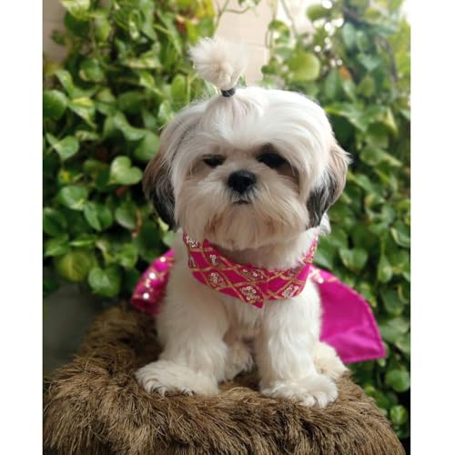 Lulala Ethnic Dress for Dogs | Stylish Festive & Wedding Outfit for All Breeds | Comfortable Traditional Pet Wear - Image 2