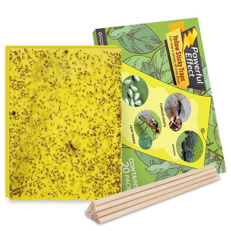 Kensizer 20-Pack Fruit Fly Trap, Yellow Sticky Gnat Traps Killer for Indoor/Outdoor Flying Plant Insect Like Fungus Gnats, Whiteflies, Aphids, Leaf Miners - 6x8 in, Twist Ties Included - Image 1