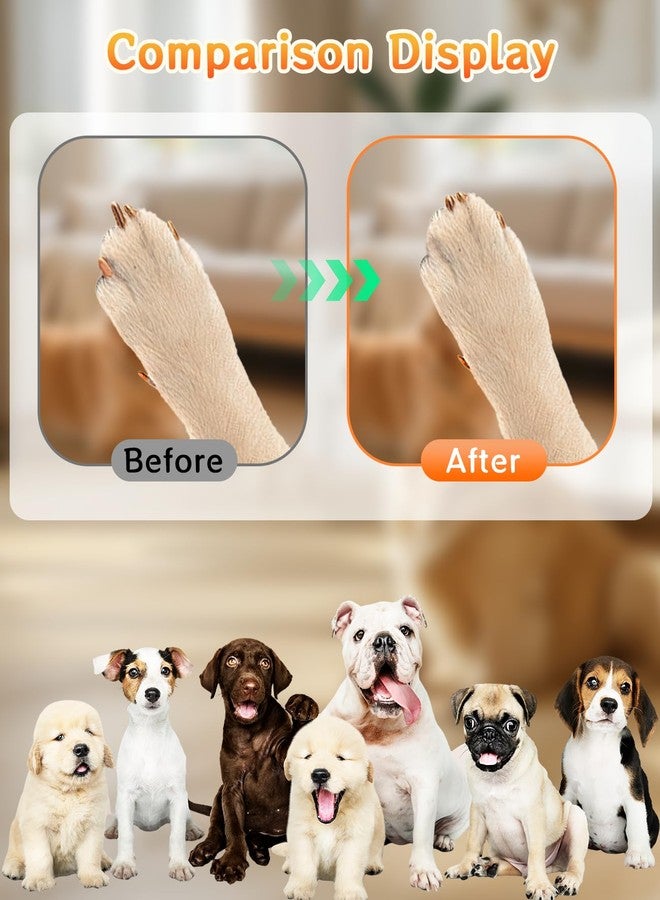 DAWZMR 9PCS Dog Nail File Set, Filer Board Scratch with 8PCS Replaceable Filing Discs for Safe and Easy Nail Care - Image 3