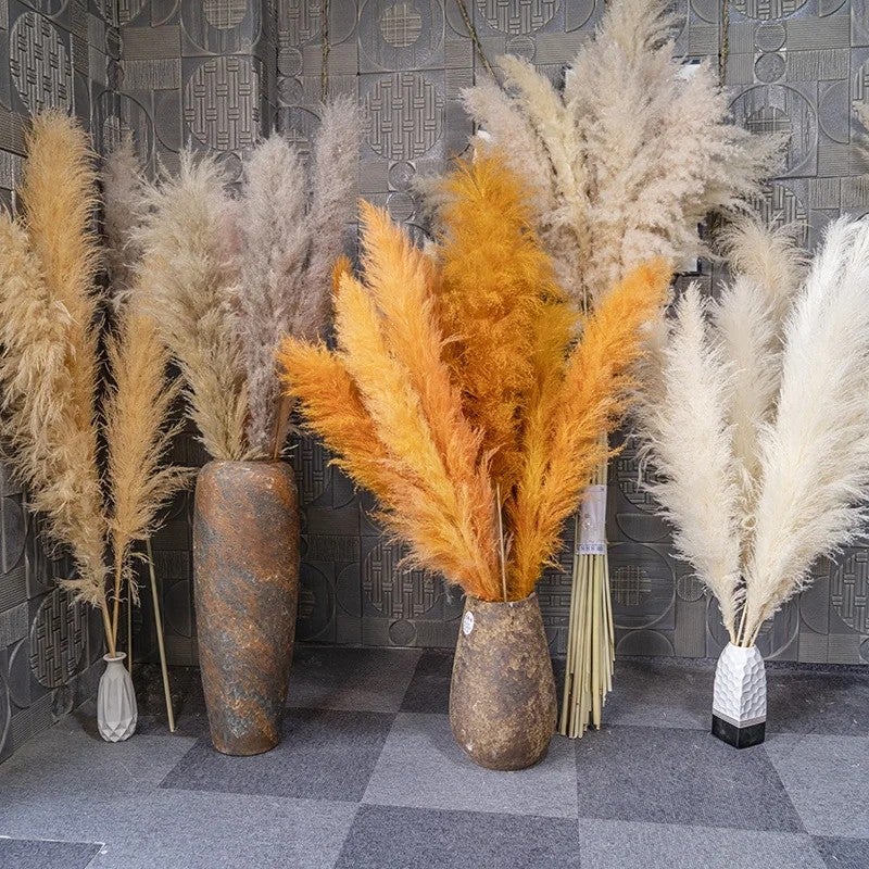 Y&D Tall Beige Pampas Grass Decor 45-120cm - Fluffy Natural Dried Flowers for Home Wedding, Small & Large Faux Pampass Grass, Dried Plants Included - Image 3