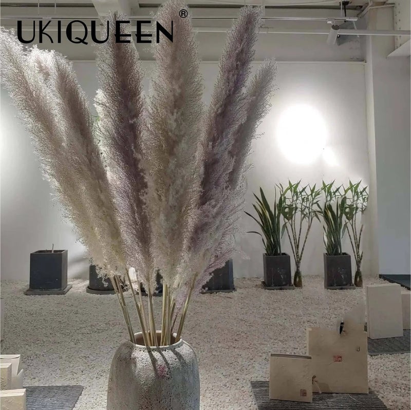 Y&D Tall Beige Pampas Grass Decor 45-120cm - Fluffy Natural Dried Flowers for Home Wedding, Small & Large Faux Pampass Grass, Dried Plants Included - Image 5