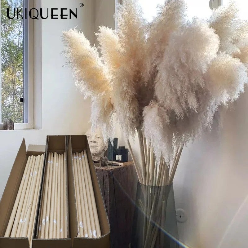 Y&D Tall Beige Pampas Grass Decor 45-120cm - Fluffy Natural Dried Flowers for Home Wedding, Small & Large Faux Pampass Grass, Dried Plants Included - Image 2