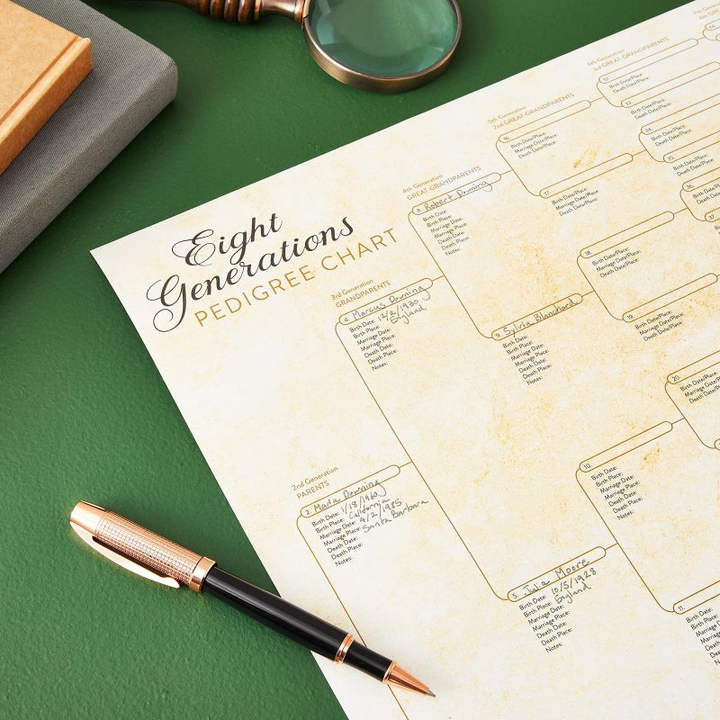 Okuna Outpost Family Tree Charts to Fill in - 8 Generation Genealogy Charts with 255 Name Spaces - Blank Family Tree Posters on Poster Paper for Framing - Pack of 15, 17 x 22 In, Off-White - Image 2
