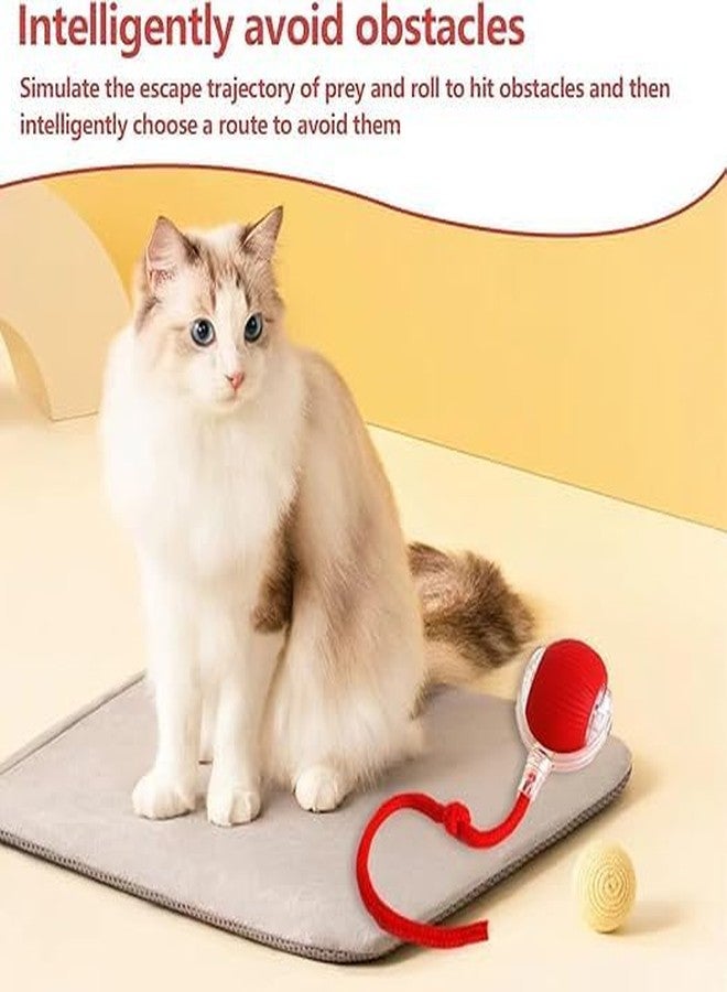 ENAHOLE Interactive Cat Toys for Indoor Cats,The 3rd Generation Agile Moving Cat Ball with Elastic Mesh Tail,Automatic Kitten Toys for Bored Indoor Cats,Motion Activated - Image 2