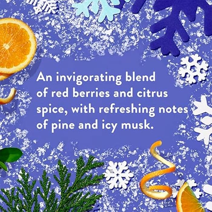 Native Holiday Limited Edition Alpine Air Moisturizing Shampoo and Conditioner - 16.5 fl oz - Pack Of 02 - Image 4