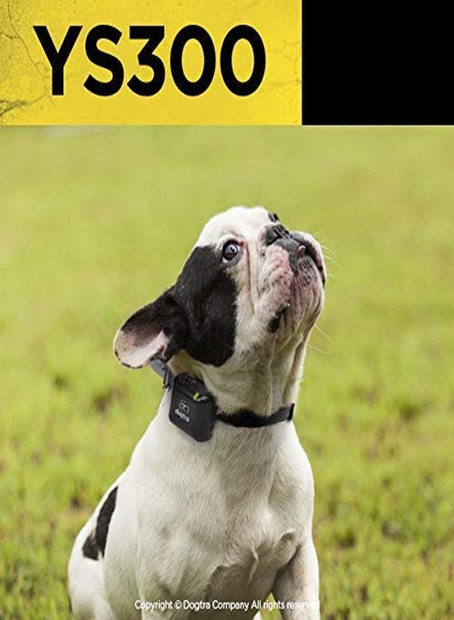 Dogtra YS300 Rechargeable Waterproof Compact No Bark Collar - Image 4