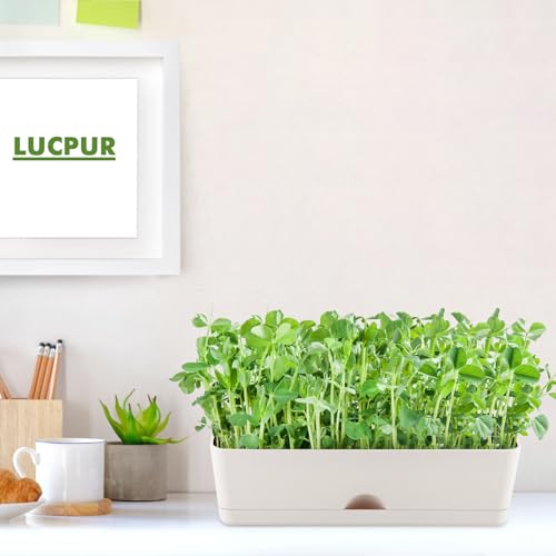 lucpur 2-Pack Flower Pots Large Window Boxes Planters 16 Inch Rectangle Plant Pot Rectangular Planters for Outdoor Indoor Plants Plastic Windowsill Planter for Herbs Flowers Long Window Sill Planters - Image 4