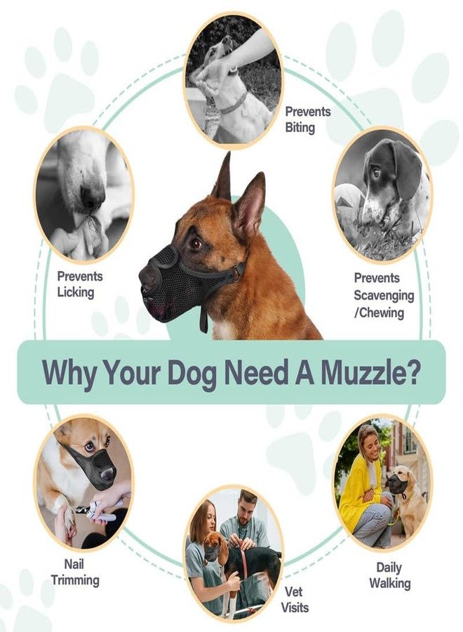 KACHEEG Soft Air Mesh Dog Muzzle Breathable & Adjustable Pet Muzzle for Small, Medium & Large Dogs, Front-Opening Design for Comfort, Prevents Biting & Scavenging, Allows Drinking - Image 4
