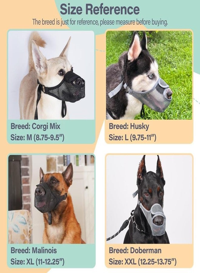 KACHEEG Soft Air Mesh Dog Muzzle Breathable & Adjustable Pet Muzzle for Small, Medium & Large Dogs, Front-Opening Design for Comfort, Prevents Biting & Scavenging, Allows Drinking - Image 5