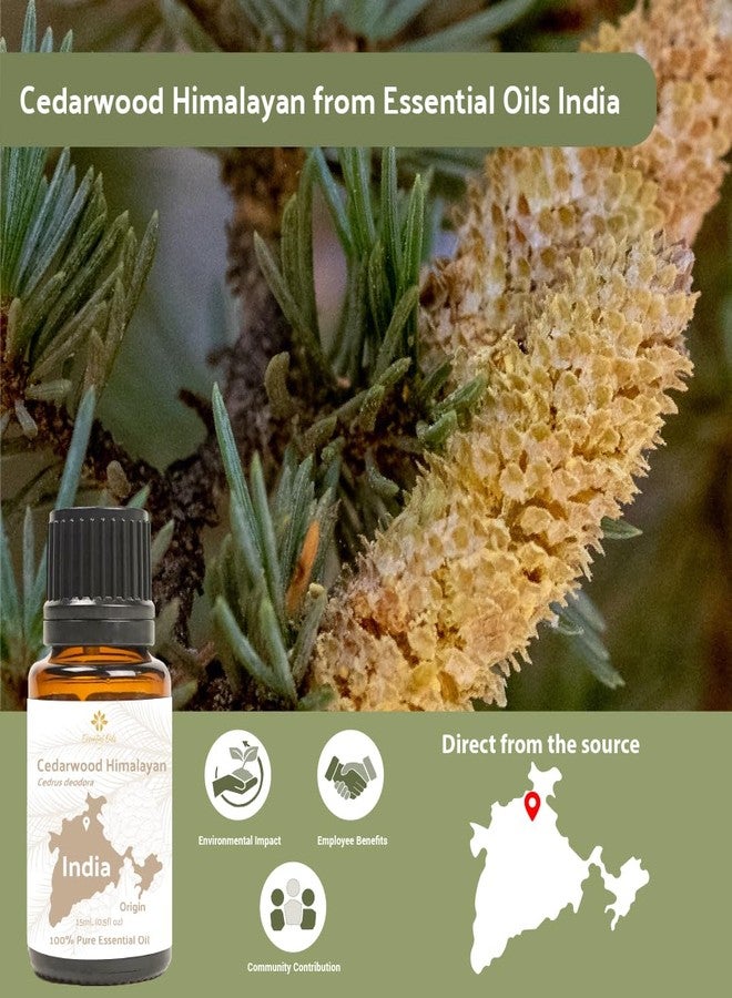 Nature Packaged Cedarwood Essential Oil (Himalayan) - Direct from Hindustan Mint & Agro in India - Essential Oil for Diffusers and Aromatherapy | Pure Therapeutic Grade (15ml) - Image 4