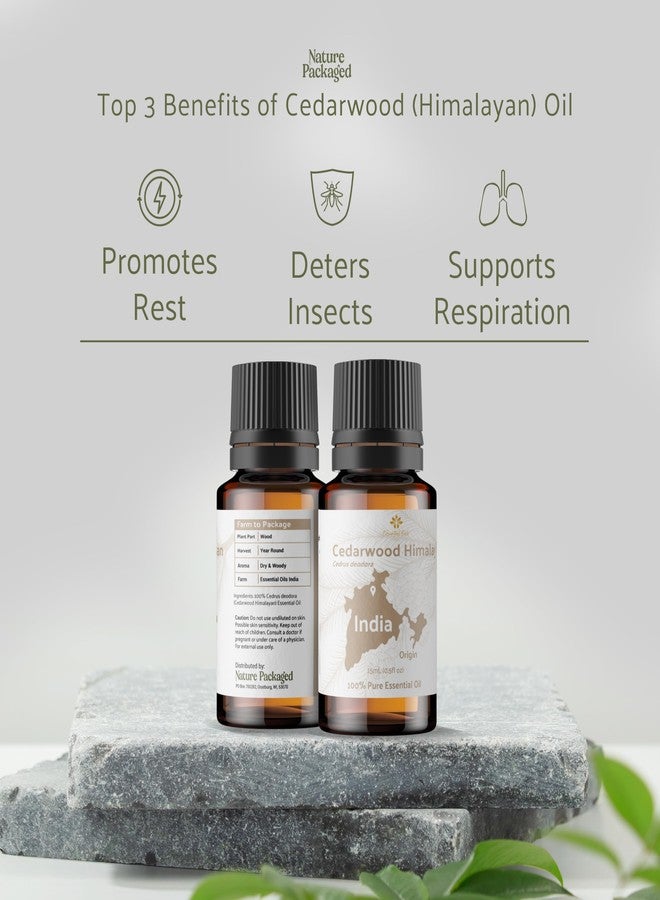 Nature Packaged Cedarwood Essential Oil (Himalayan) - Direct from Hindustan Mint & Agro in India - Essential Oil for Diffusers and Aromatherapy | Pure Therapeutic Grade (15ml) - Image 2