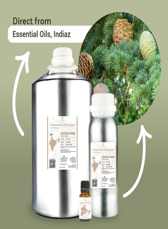 Nature Packaged Cedarwood Essential Oil (Himalayan) - Direct from Hindustan Mint & Agro in India - Essential Oil for Diffusers and Aromatherapy | Pure Therapeutic Grade (15ml) - Image 3