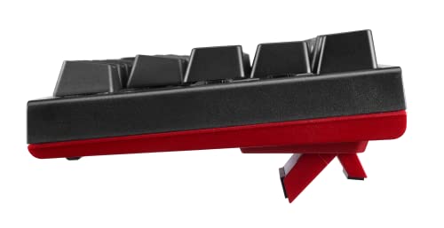 PowerColor USB-C x Ducky One 2 SF RGB Mechanical Keyboard with Kailh Brown Switches - Image 5