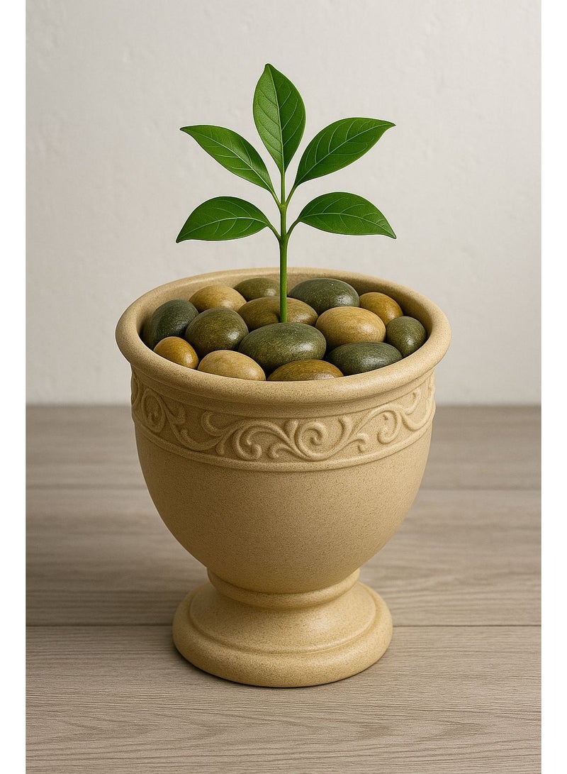 Decorative Stone 2-3 cm Consisting of Two Bags Each Bag Containing 1 kg 1+1 kg  - Image 4