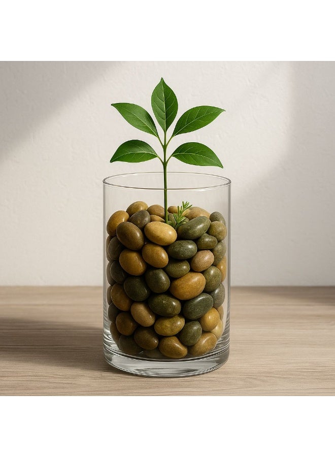 Decorative Stone 2-3 cm Consisting of Two Bags Each Bag Containing 1 kg 1+1 kg  - Image 5