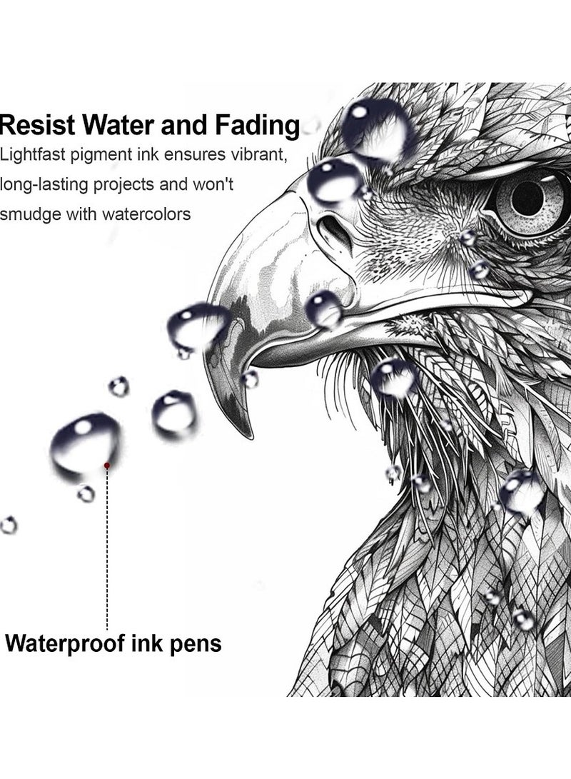 أقلام رسم فنية دقيقة، 12 قلم حبر أسود مقاوم للماء، لوازم فنية، أقلام تلوين أرشيفية، أقلام تخطيط، مخططات، هدايا أنمي، رسم مانجا، ألوان مائية، أدوات زينتانجل - Image 5