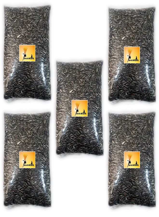 Parrots Wizard Bird , Small Size Strip Sunflower Seeds [4500 Grams] - Image 1